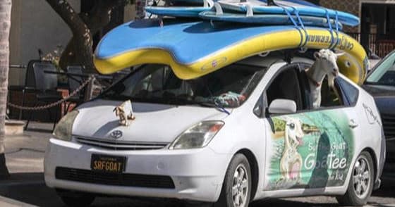 Stand-Up Paddleboarding Adventures at Pismo Beach