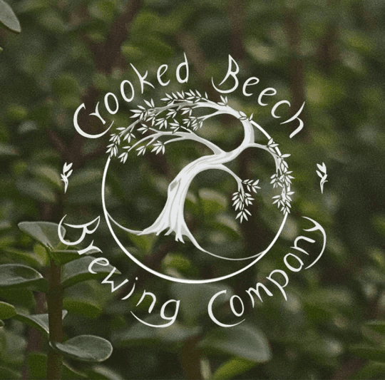 Bonsai Bar at Crooked Beech Brewing: Make a Tiny Tree in Loveland, Colorado