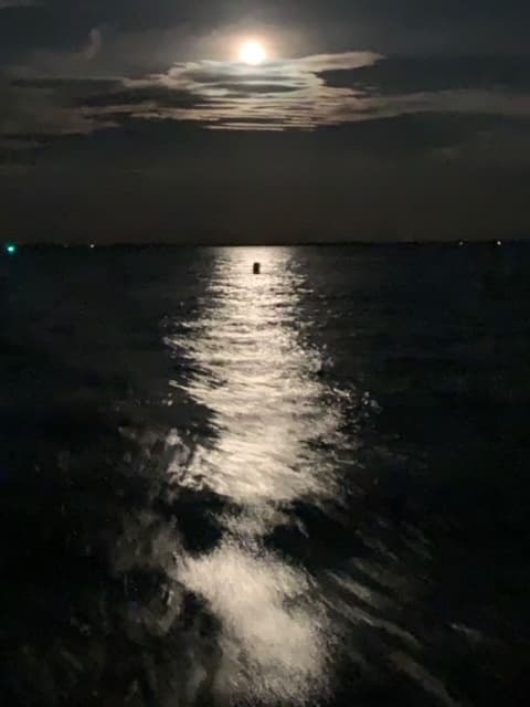 Moonrise Sailing: A Magical Night on Lake St. Clair