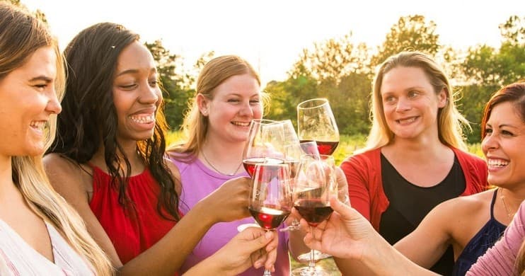 Friends toasting with wine outdoors at sunset social gathering