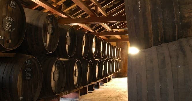 Madeira 1877 Wine Tour by Farm Experiences & Tours