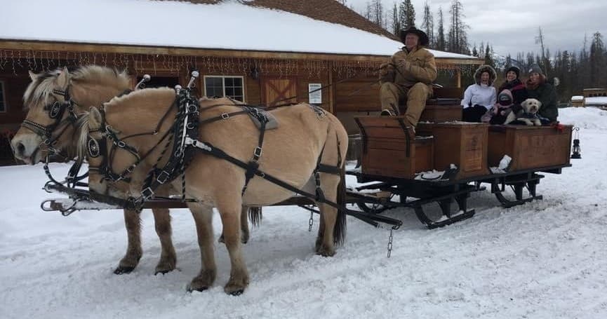 Small Sleigh Ride Adventure in Grand Lake, Colorado