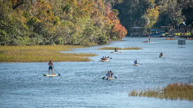 Paddle Clear Waters at Rainbow Springs: SUP Rentals in Dunnellon, FL