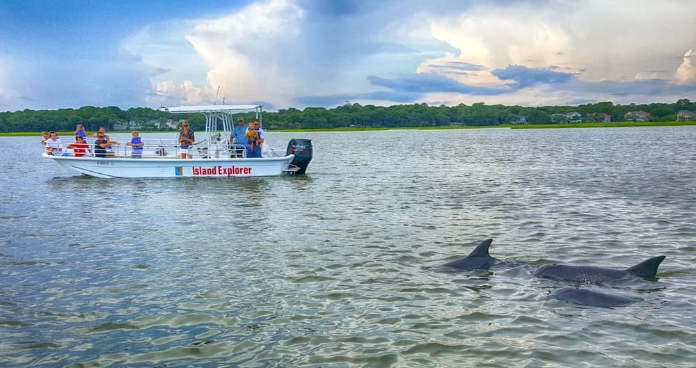 Explore Hilton Head Island with a Private Two-Hour Dolphin Encounter