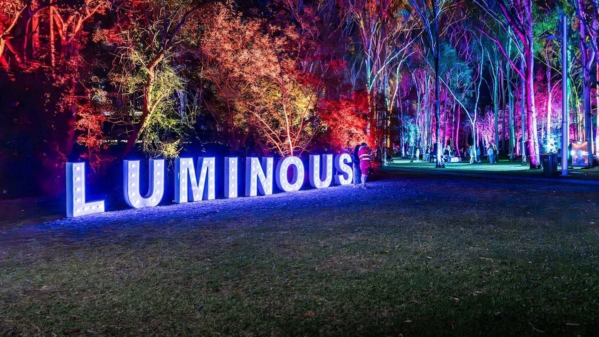 LUMINOUS Gladstone: Night Lights and Community at Tondoon Botanic Gardens