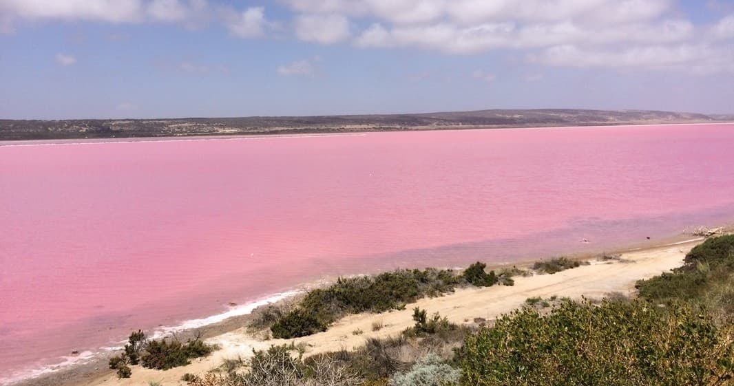 Scenic pink salt lake on coastal cliffs for nature sightseeing