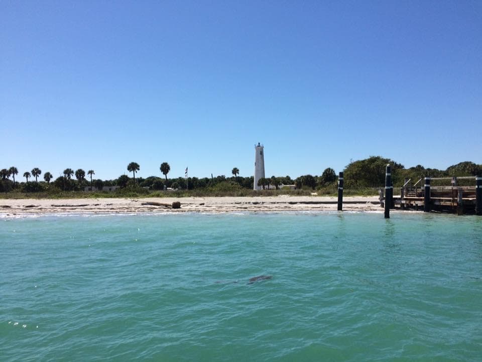 Private Island Adventure Tour by Anna Maria Island Dolphin Tours