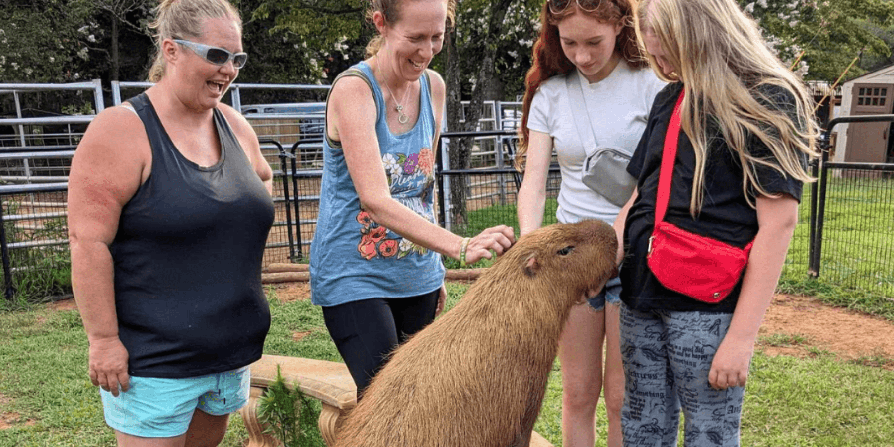 VIP Safari Tour in Cleveland, Georgia Wildlife Park
