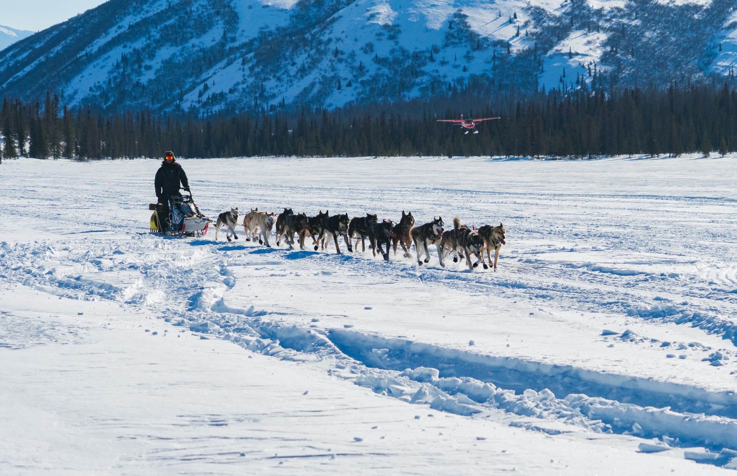 Experience the Iditarod at Rainy Pass Checkpoint: A Front-Row Seat to Alaska’s Legendary Dogsled Race photo 1