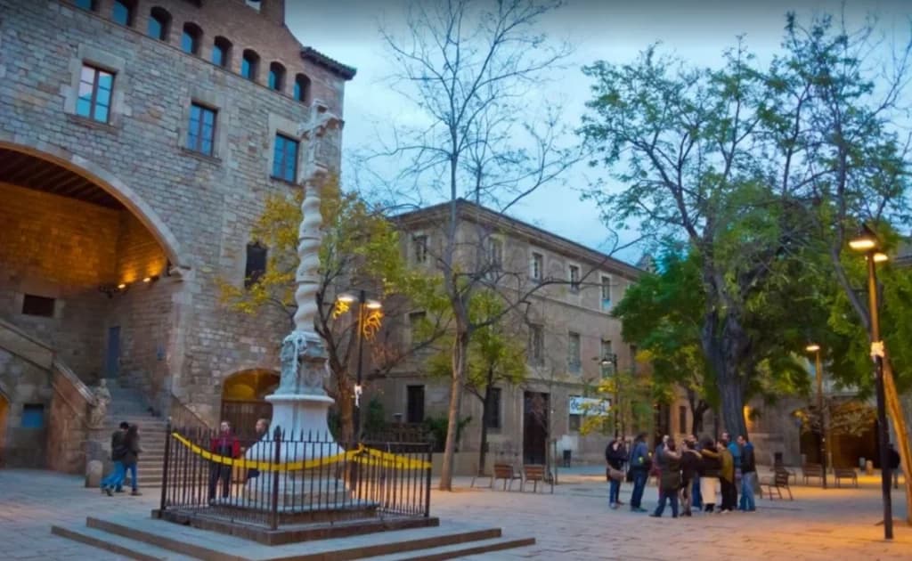 Dog Tour of Barcelona with Willy SEO SL
