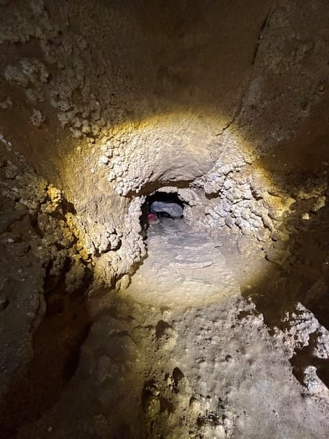 Rappel into Devil’s Pit: Wild Discovery Challenge Tour at Caverns of Sonora photo 4