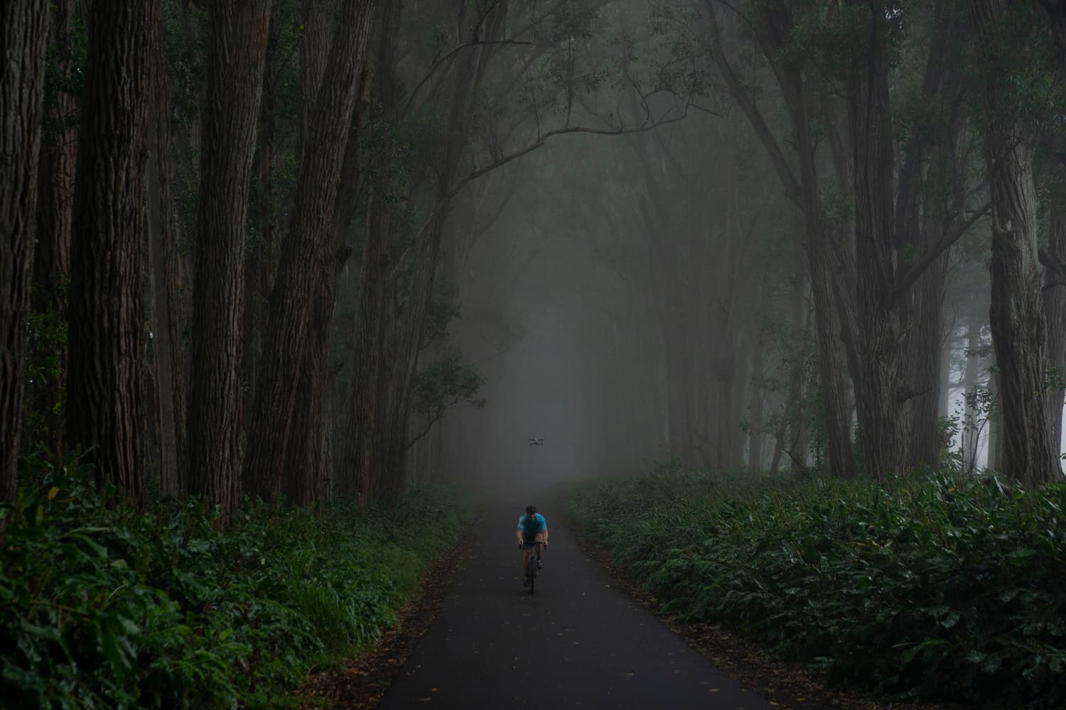 Tailor Your Big Island Bike Adventure: Custom Trips from Waimea Hawaii