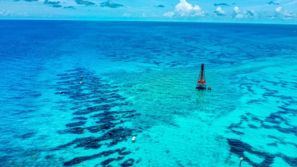 Snorkeling & Sandbar Swim with Solé Watersports in Marathon
