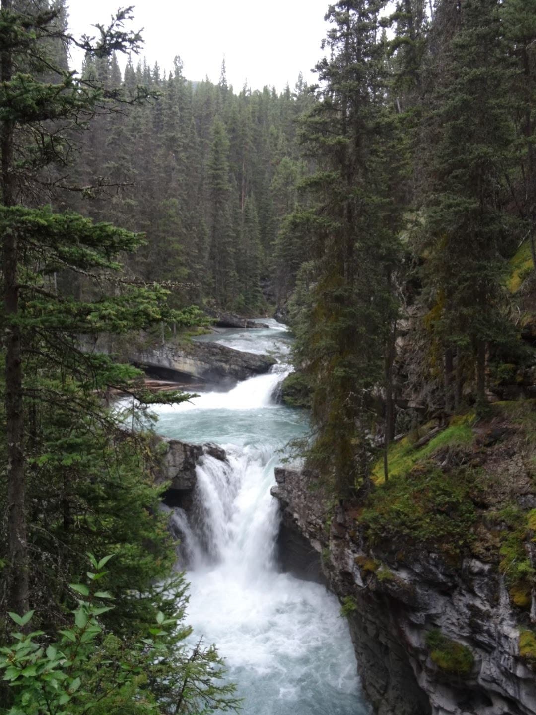 Johnston Canyon Evening: Our Signature Private Experience