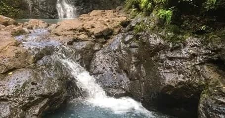 Guided Waterfall & Jungle Tour in Kailua, Hawaii