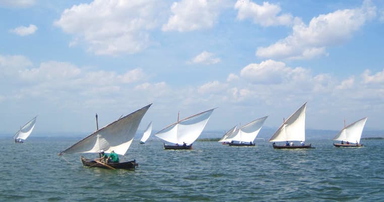 Traditional sailboats racing on open waterfront near Albufera