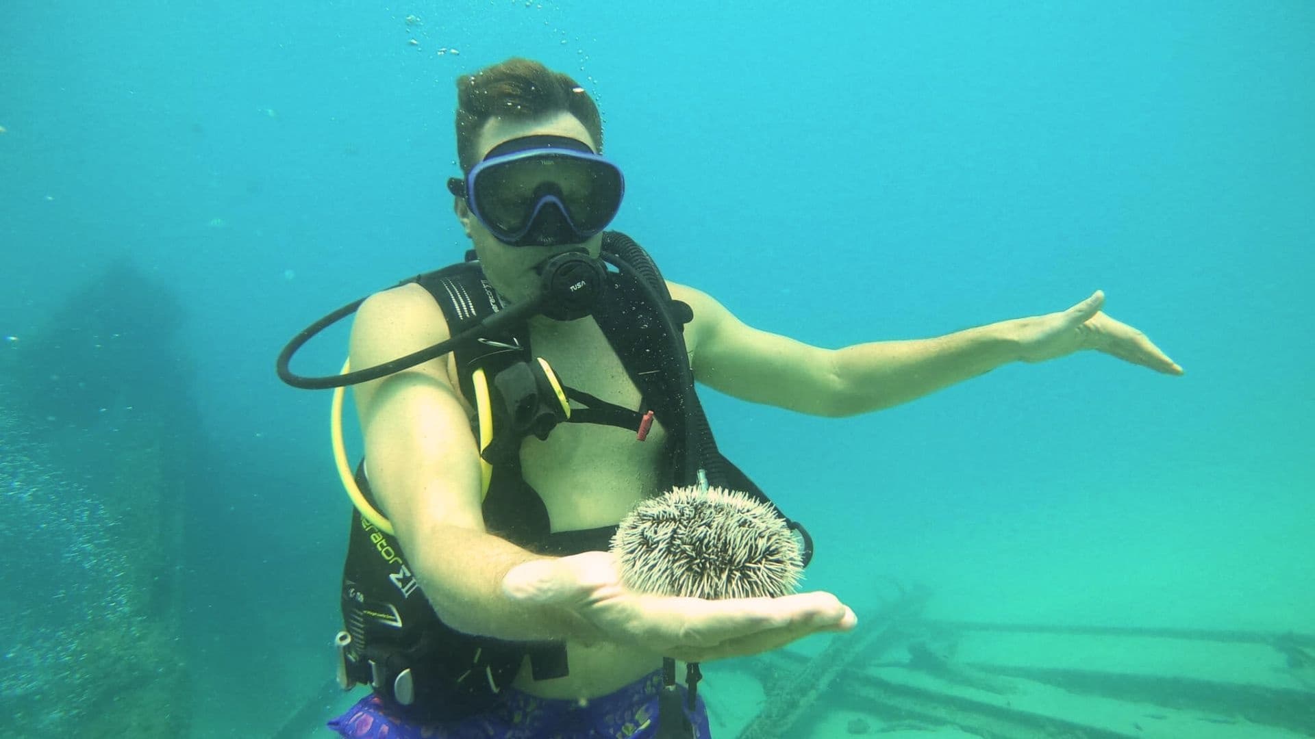 Private Beginner Scuba Dive in Rincón — Black Eagle Beach Reef Tour photo 4