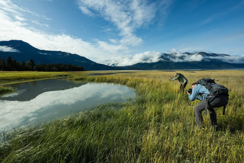 Alaska Wildlife & Landscape Photo Tour Near Fairbanks