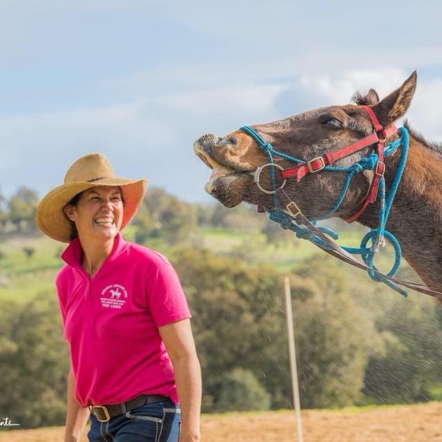 Reconnect and Restore: Women’s Wellness Retreat in Jarrahdale, Western Australia