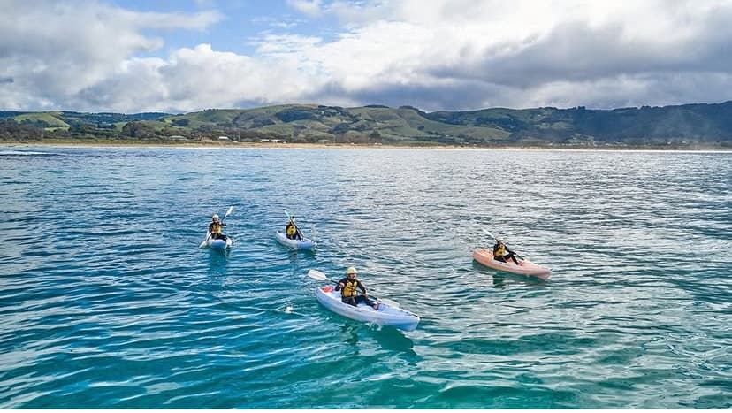 Sea kayakers paddling near Apollo Bay coastline in calm ocean
