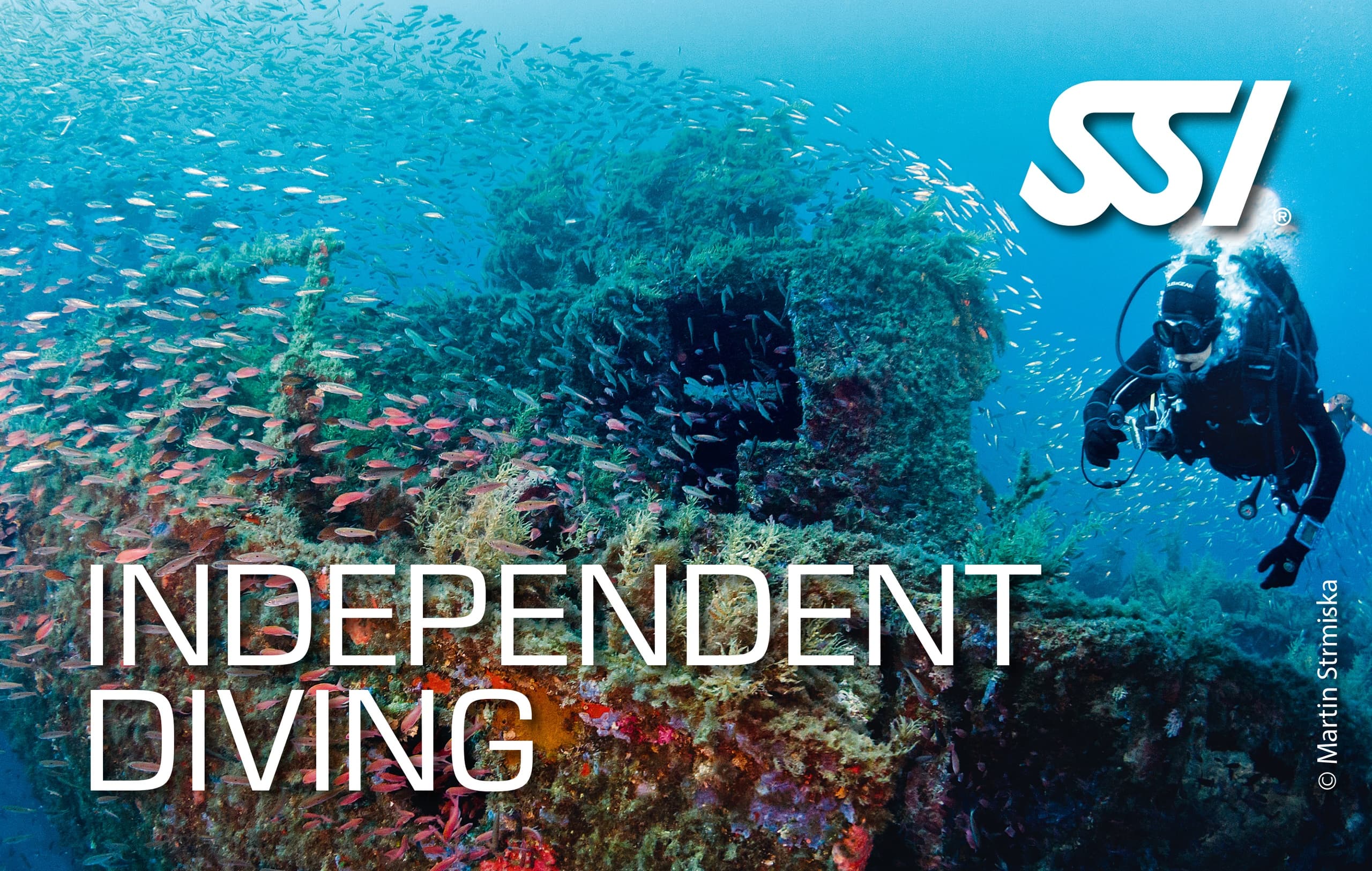 Independent Diving Skills with Paragon Diving in Big Pine Key