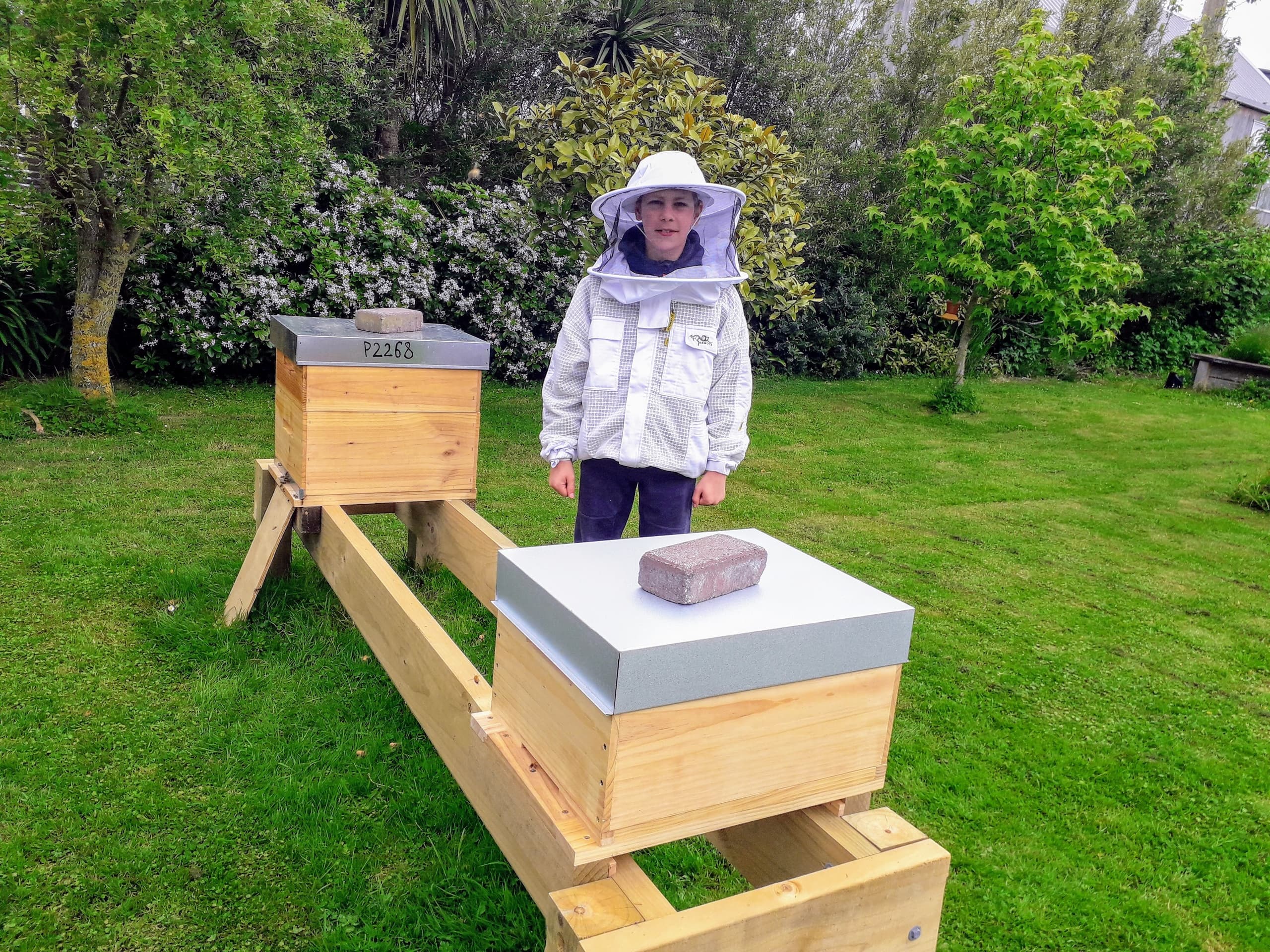 Discover Dunedin’s Honey Hive and Bees Tour: A Unique Beekeeping Adventure