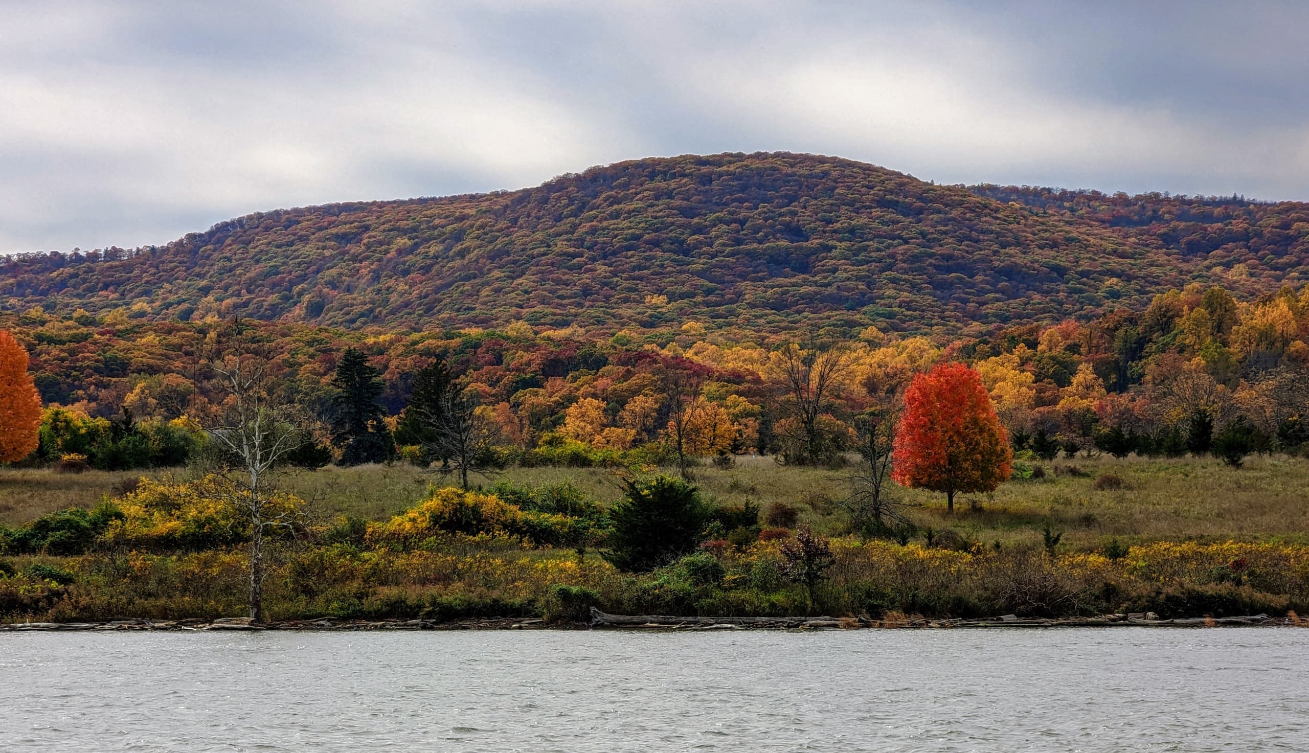 Fall Foliage Cruise on the Hudson River: A 45-Minute Leaf Peeping Adventure