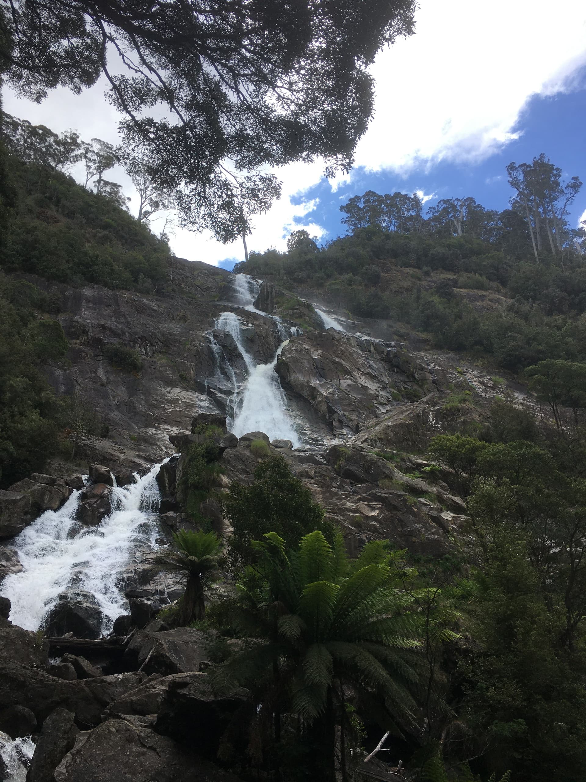 Land Adventures with Discover Tasmania Tours