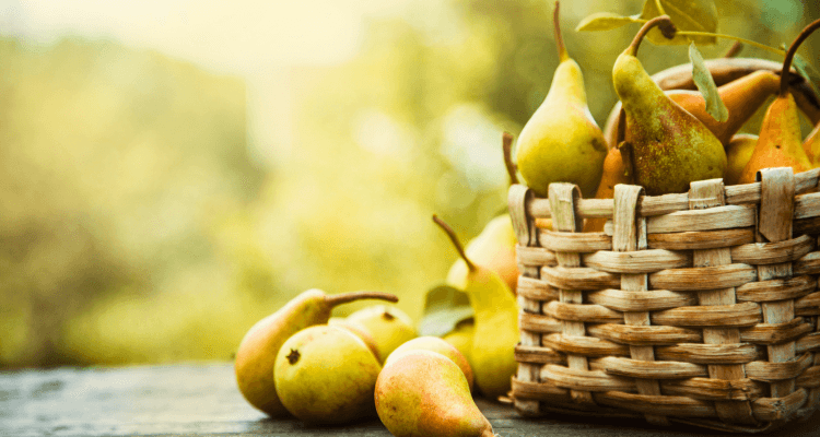 Culinary Adventure with Kitchen on Fire in Fall