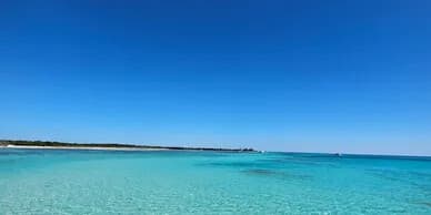 Key West Combo Trips: Dolphin Encounters, Sandbar & Snorkel Adventures