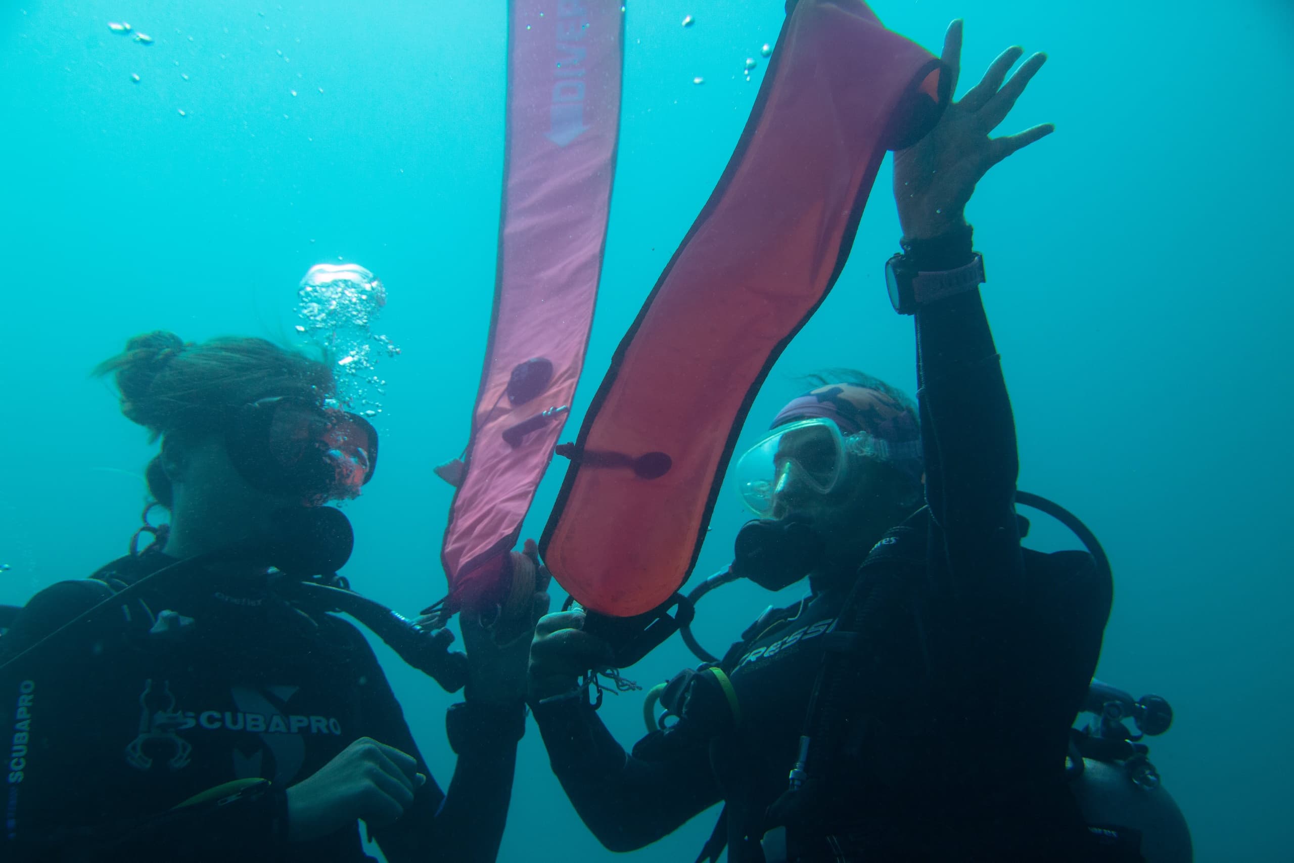 Master Advanced Scuba: PADI Advanced Open Water Certification in Cabo San Lucas photo 2