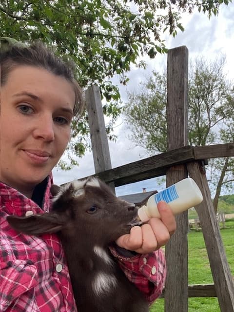 Bottle Feed Baby Goats in Martintown: 30-Min Farm Snuggle Experience photo 3