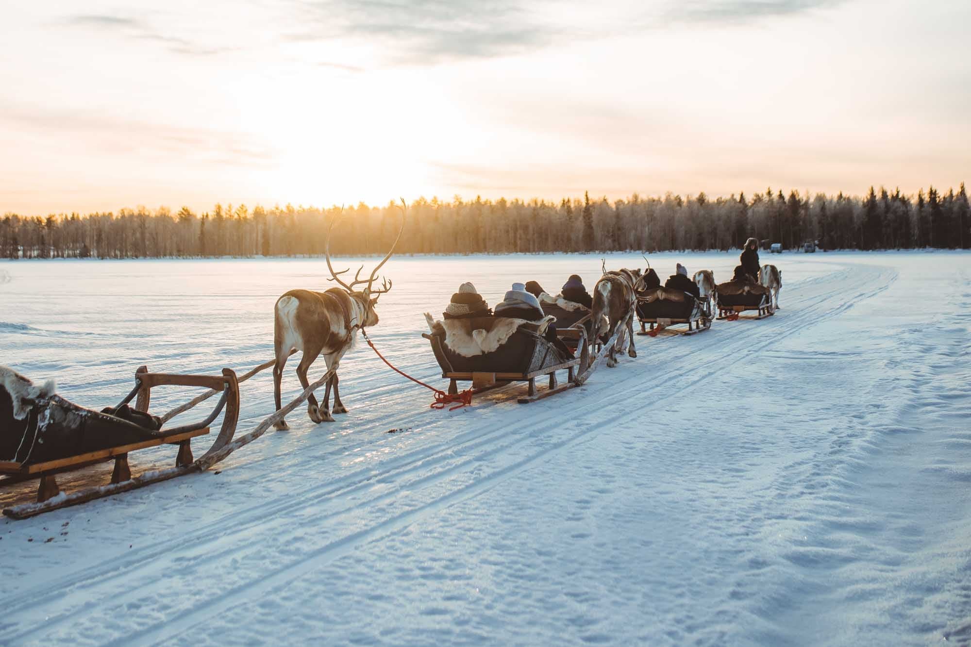 Reindeer Sleigh Rides with Apukka Resort in Lapland