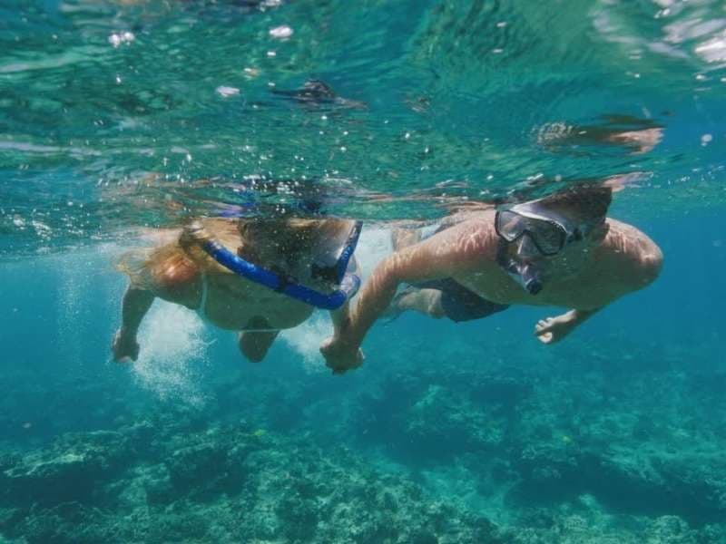 Private Snorkeling Tour in Kailua-Kona, Hawaii