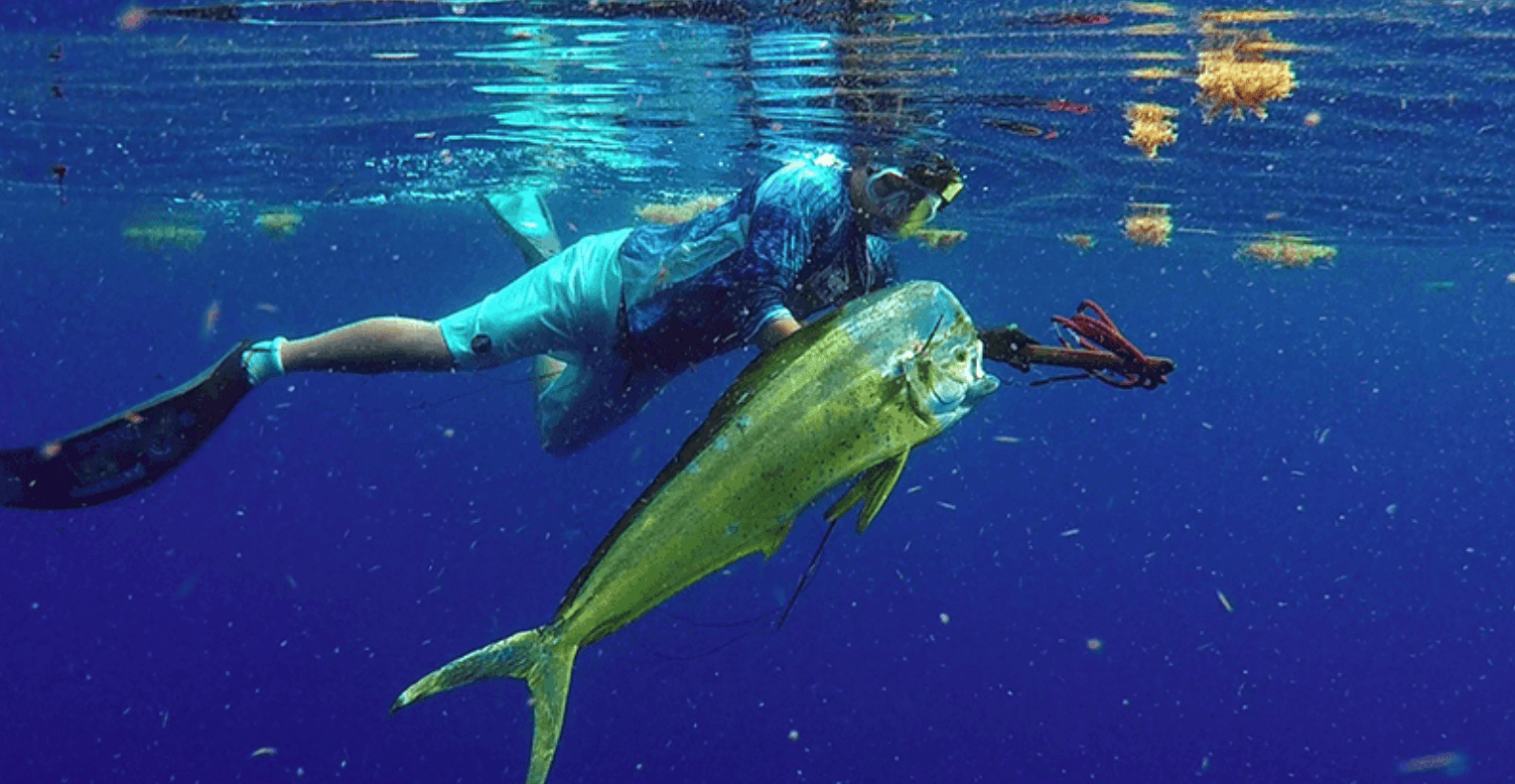 Spearfishing in Islamorada with Forever Young Charter Company