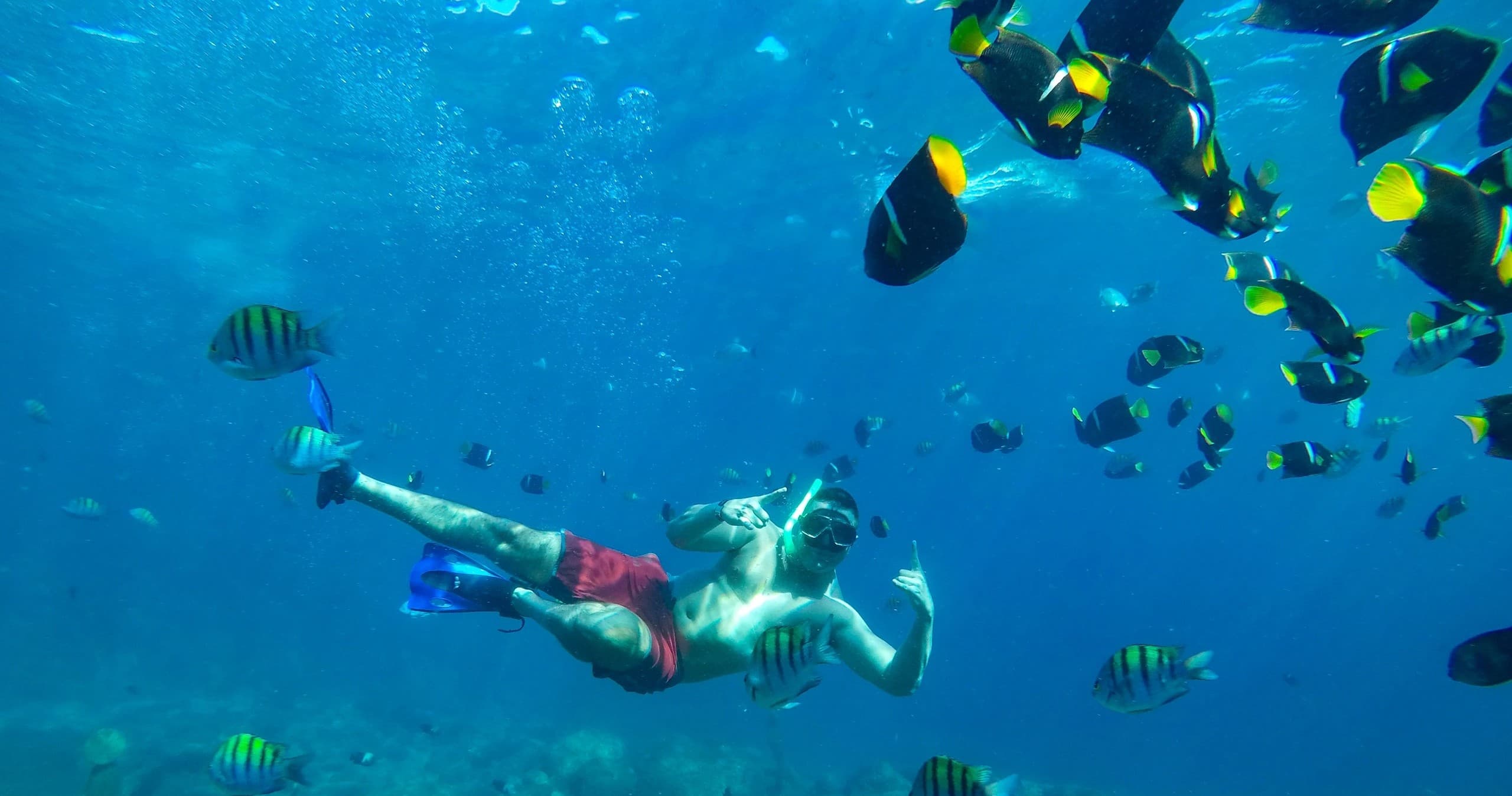 Luxury Sailing & Snorkeling in Bahía de Banderas