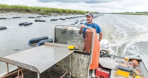 Inside an Oyster Farm: Group Farm Tour in Seabrook, South Carolina