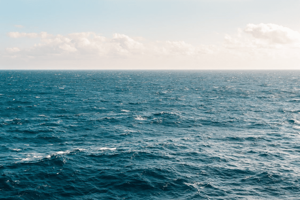 Private Half Day Cruise in Marco Island: Customize Your Ultimate Gulf Adventure