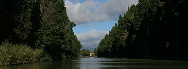 Cypress-lined Canal Cruise: Croisière Cité Pont Canal, Carcassonne