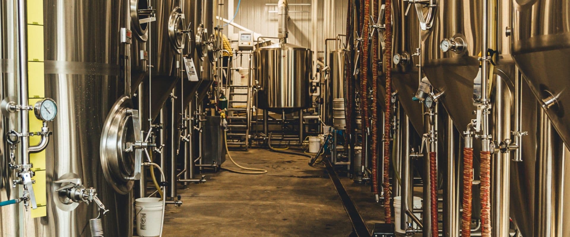 Inside Three Brothers Wineries: Behind the Label Tour