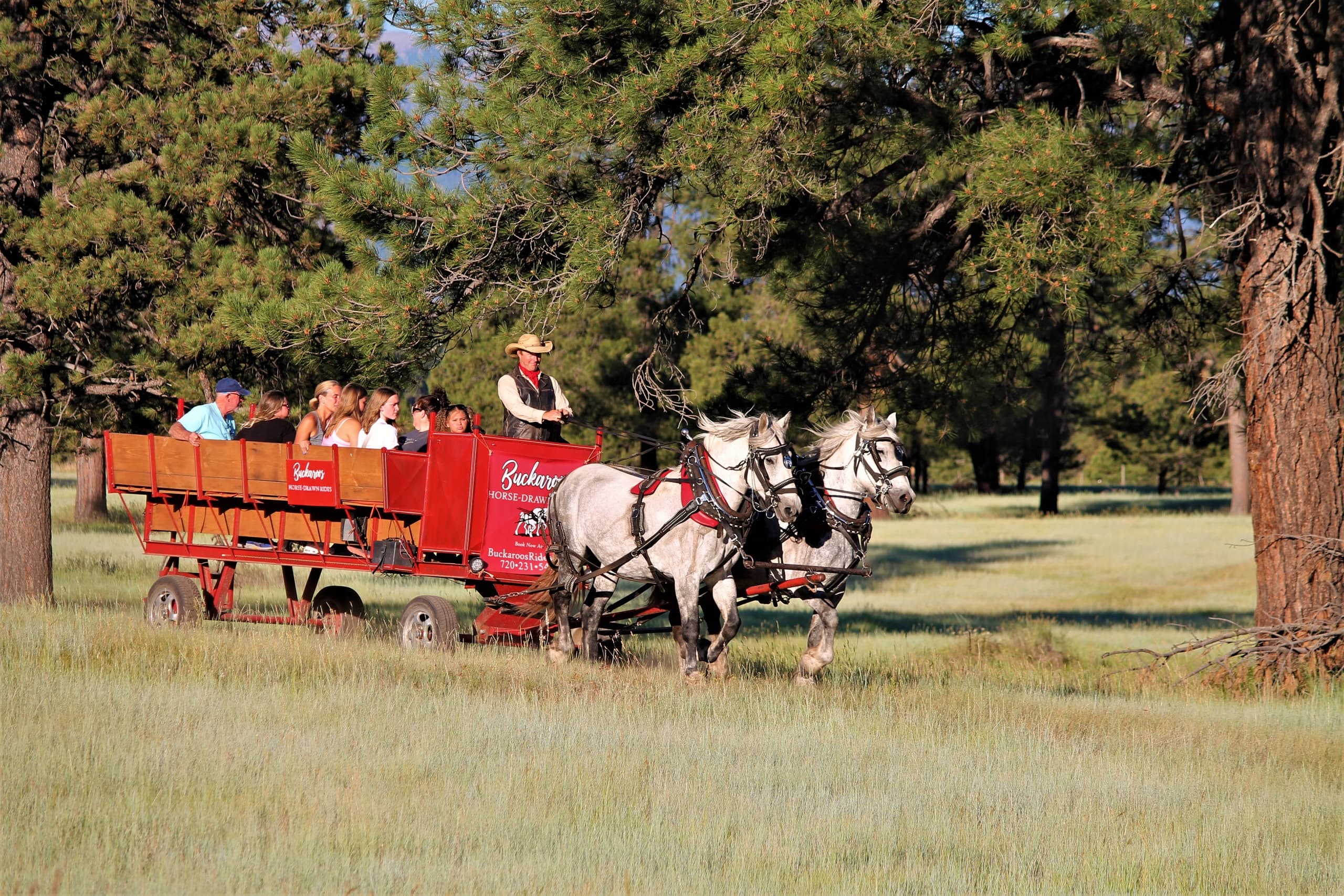 Scenic Public Wagon Ride in Pagosa Springs, Colorado