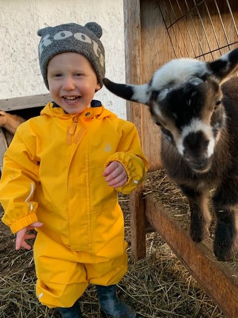 Baby Goat Snuggle & Barnyard Visit in Martintown, Ontario photo 1