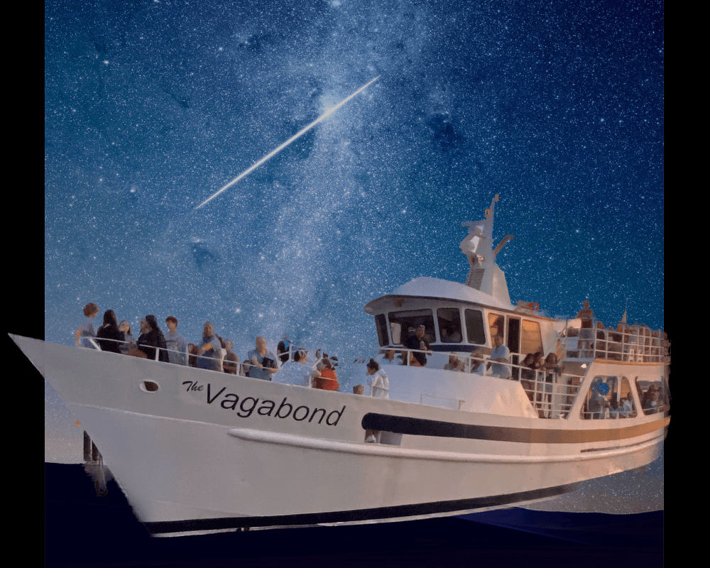 Cruise Through The Stars: Night Sky Stargazing Aboard Hilton Head’s Vagabond