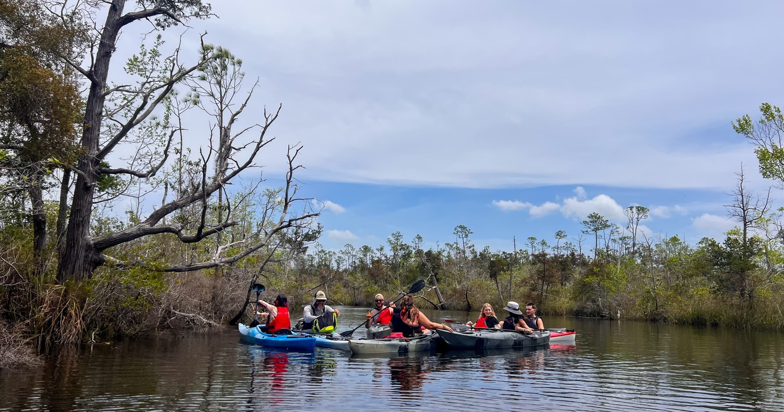 Black Manta Kayak Club: Community Paddles on Pensacola's Coastal Waters photo 1