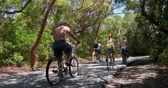 Group cycling on shaded coastal forest trail, active bike tour