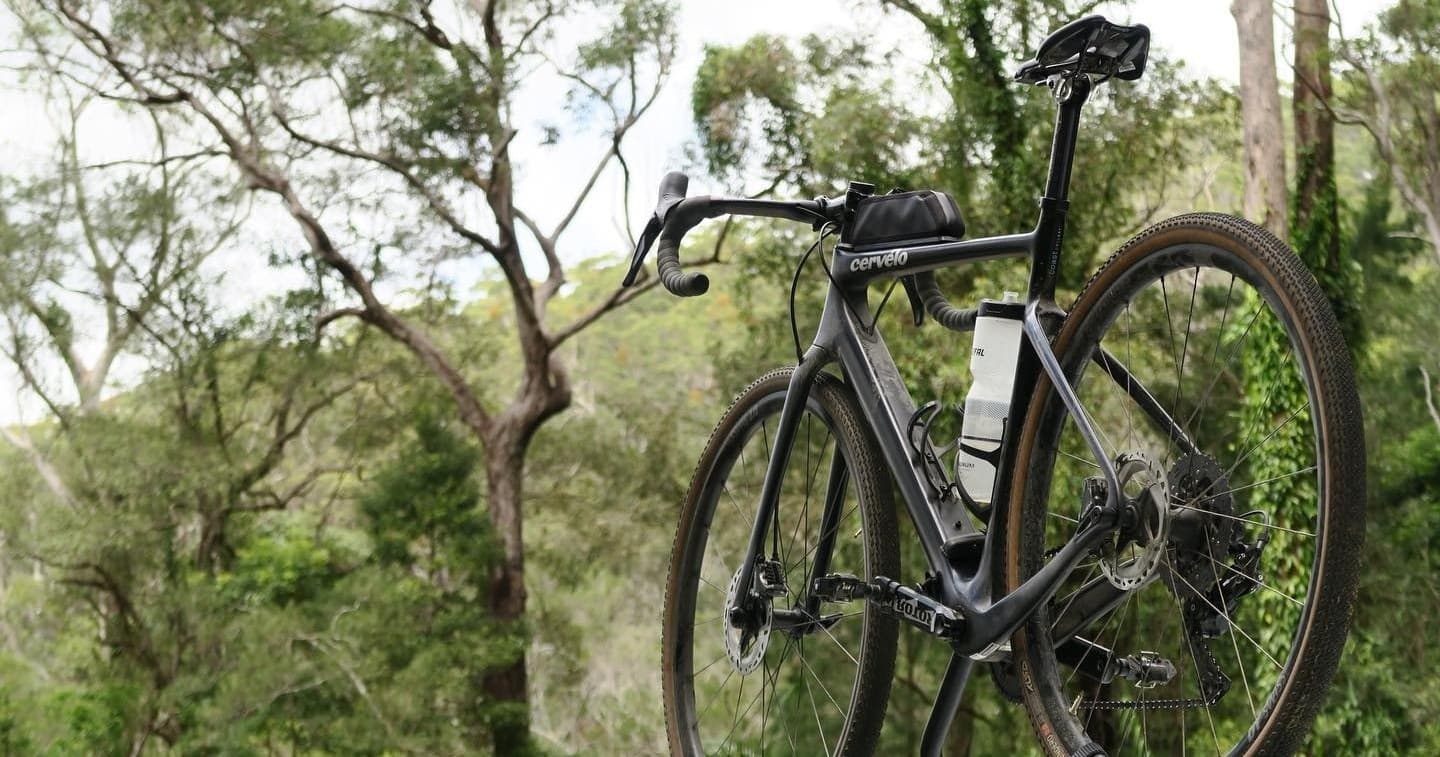 Gravel bike perched in eucalyptus bushland with leafy backdrop