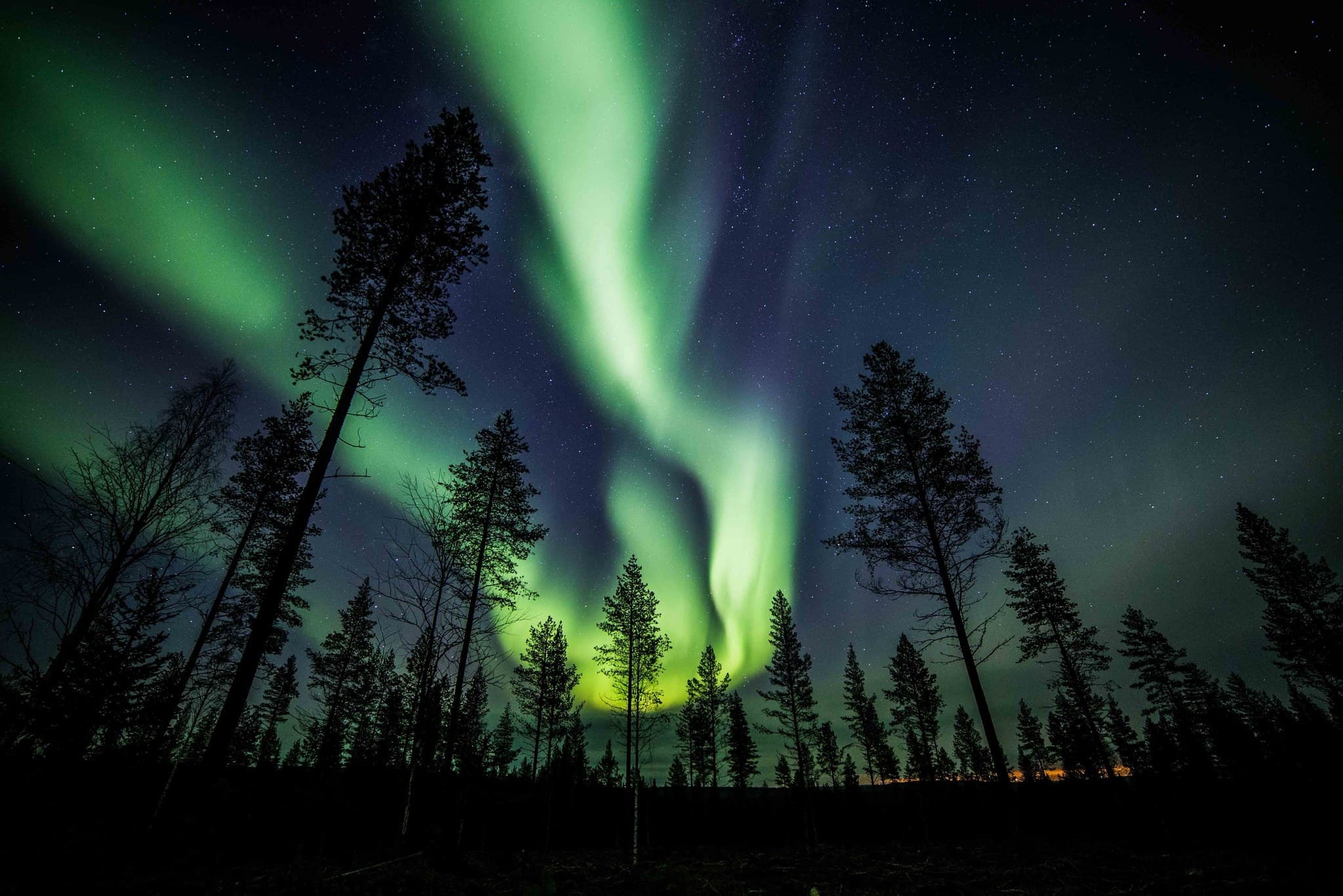 Experience the Magic of the Aurora Reindeer Tour in Rovaniemi’s Arctic Wilderness photo 1