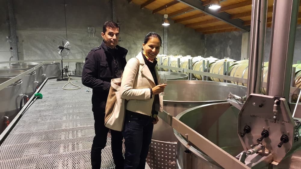 Deluxe Half-Day Wine Tour with Explore Marlborough