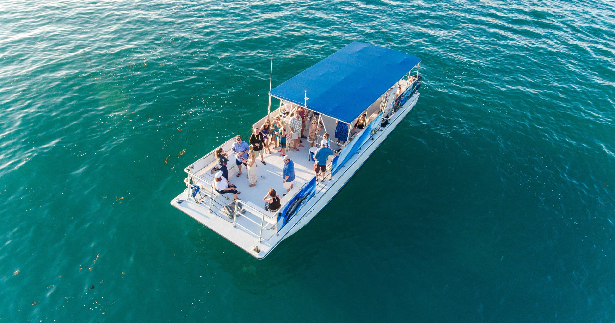 Seabreeze Morning Island Charter in Key West, FL