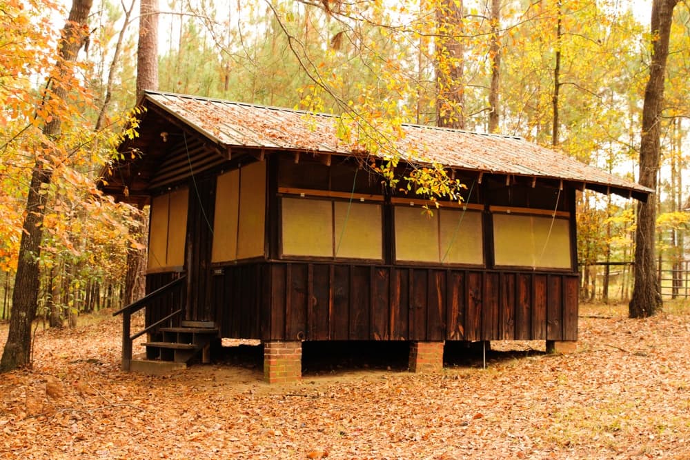 Explore Dogwood Knoll Retreat near Augusta, Georgia